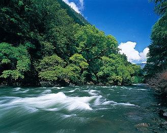 《战锤40K：行商浪人》Steam页面上线 支持简体中文