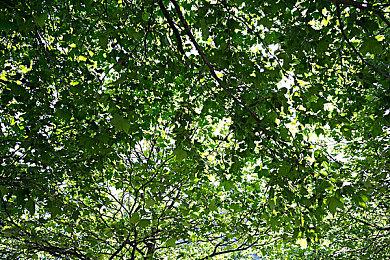 《漫威蜘蛛侠2》正式解锁 官方发布推文